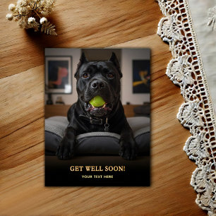 Bedårande Cane Corso tillfriskna Vykort