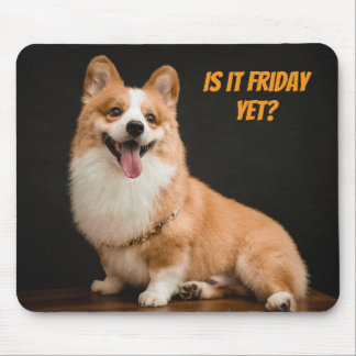 Bedårande Corgi-valp Musmatt. Är det fredag än? Musmatta