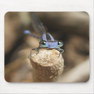 Bedårande Damselfly (1) Mousepad Musmatta