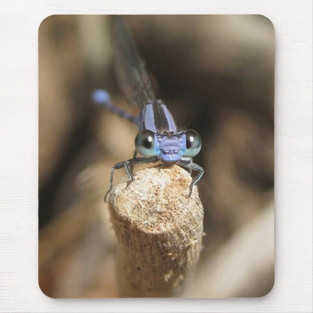 Bedårande Damselfly (1) Mousepad Musmatta (Framsidan)