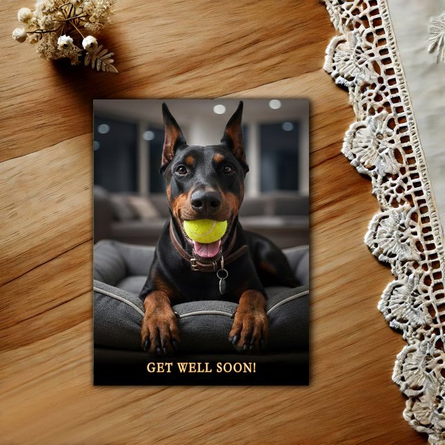 Bedårande Dobermann Pinscher  Get Well  Postkort Vykort (Skapare uppladdad)