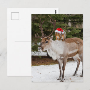 Bedårande ekorre jultomte och renen jul vykort