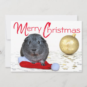 Bedårande Glad Jul Marsvin Guld Ornament Julkort
