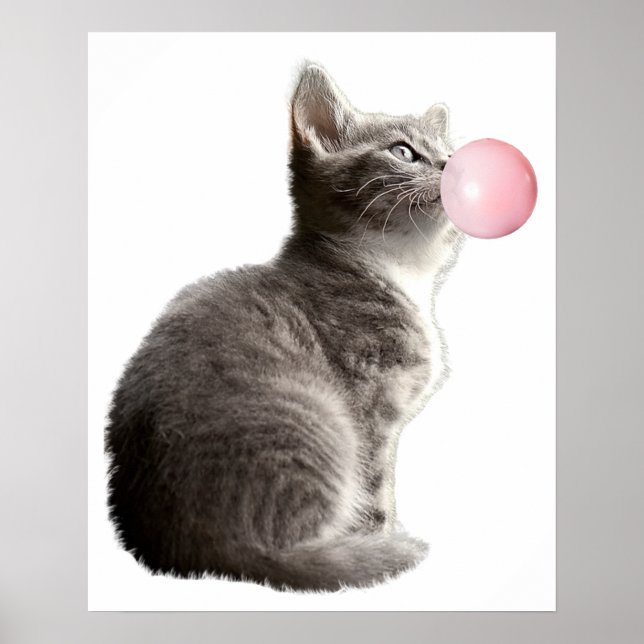 Bedårande Grått Kulligt Kattbarn Bubbelgum Barnkam Poster (Framsidan)