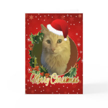 Bedårande katt i tomteluva jul