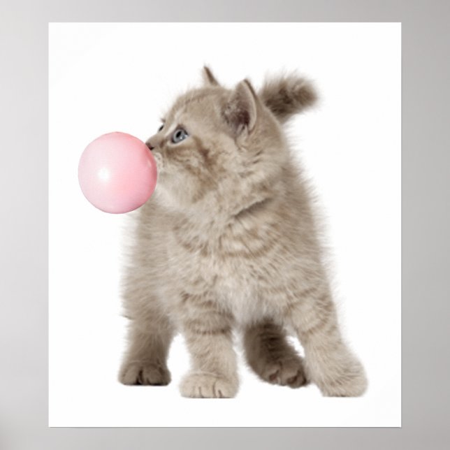 Bedårande Kittel Katt Bubble Gum Barnkammare Barn Poster (Framsidan)