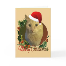 Bedårande och unik katt julkort