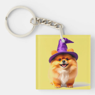 Bedårande Pomeranian-valp som bär häxhatt