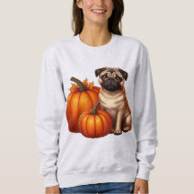 Bedårande Pug sittande bredvid pumpor med höst
