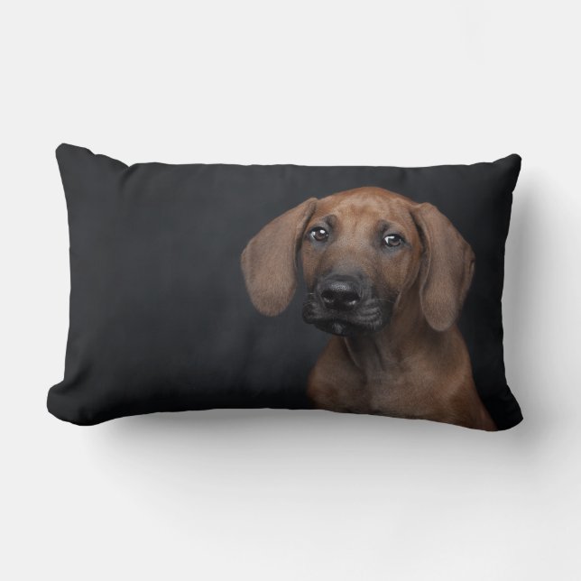 Bedårande Rhodesian Ridgeback Valp Porträtt Hund P Lumbarkudde (Framsida)