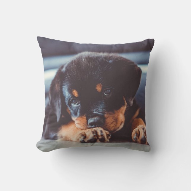 Bedårande Rottweiler Valp Sover Kudde (Framsida)