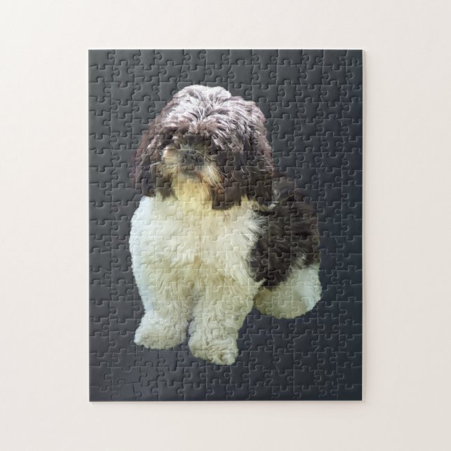 Bedårande Shih Tzu-valp Pussel (Vertikal)
