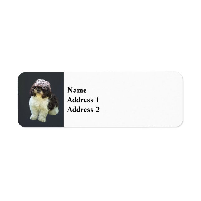 Bedårande Shih Tzu-valp Returadress Etikett (Framsidan)