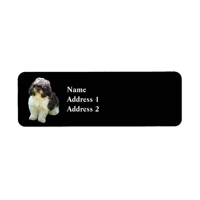 Bedårande Shih Tzu-valp Returadress Etikett (Framsidan)