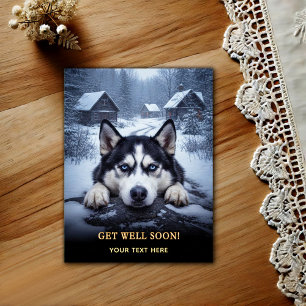 Bedårande Siberian Husky Önska Sköna Återhämtning  Vykort