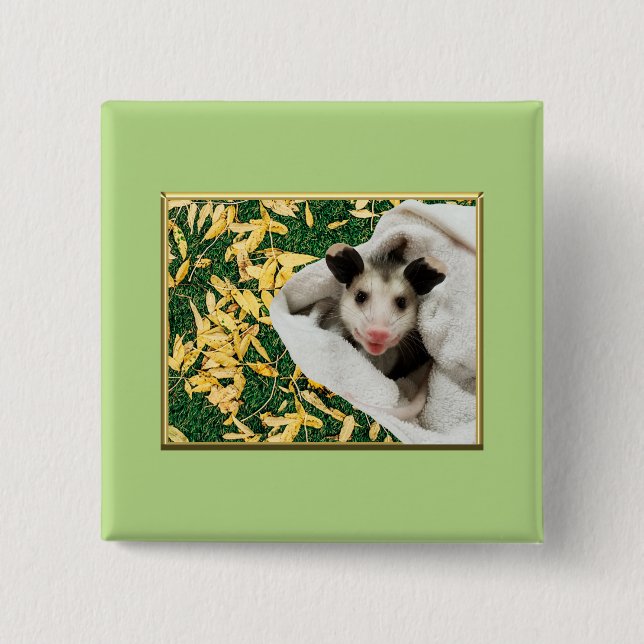 Bedårande sött baby opossum knapp (Framsida)