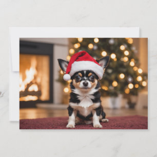 Bedårande svart Chihuahua med tomtehatt Julkort
