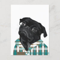 Bedårande svart pug med glasögon och skjorta