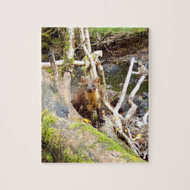 Bedårande Tallmård Skogs djur Natur Foto Pussel (Vertikal)