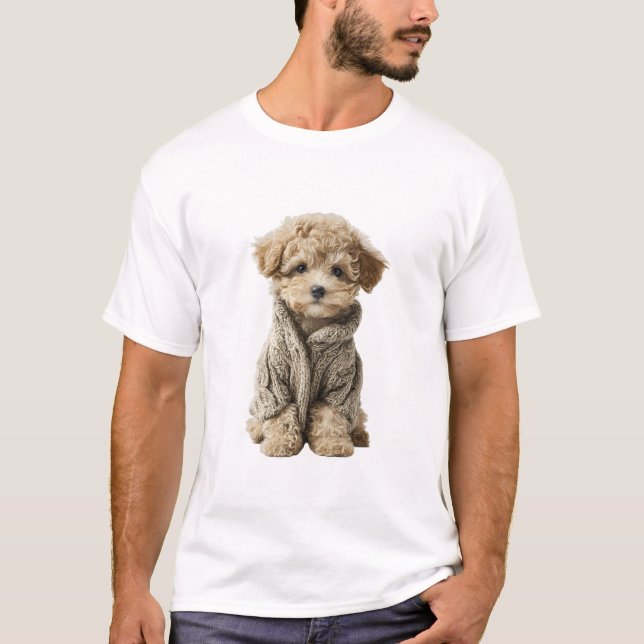 Bedårande Toy Poodle-valp i mysig stickad tröja (Framsida)