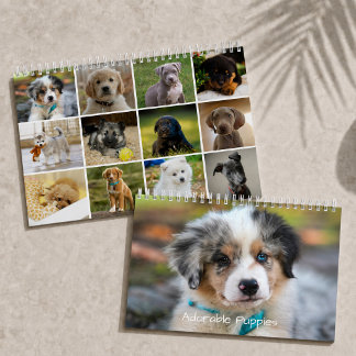Bedårande Valpar 2027 Söt Hund Kalender