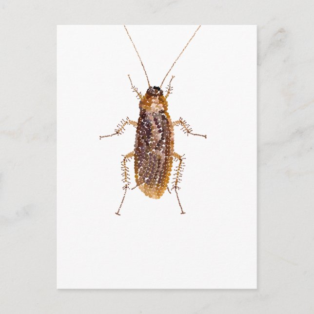 BEDAZZLED ROACH VYKORT (Framsida)
