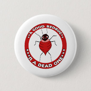 Bedbugs Knapp