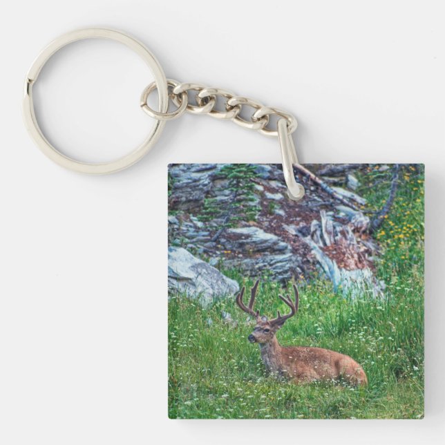 Bedded Buck (Framsidan)