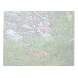 Bedded Buck Anteckningsblock