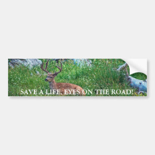 Bedded Buck Bildekal