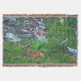 Bedded Buck Filt
