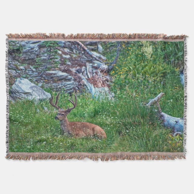 Bedded Buck Filt (Framsidan)