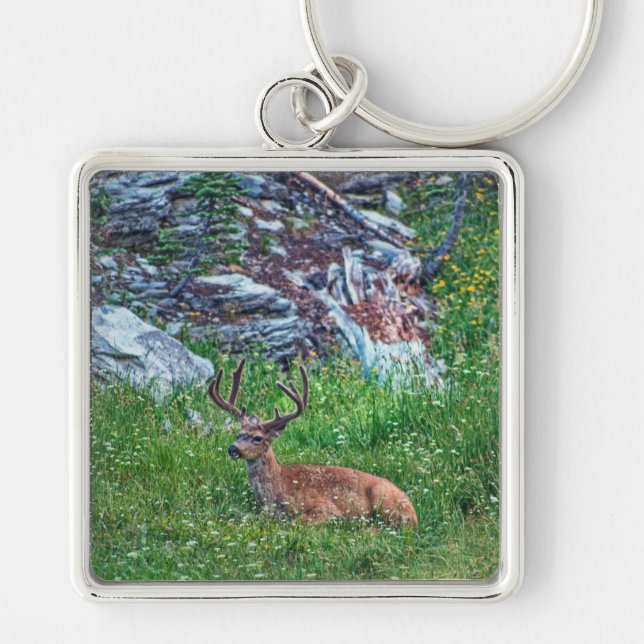 Bedded Buck Fyrkantig Silverfärgad Nyckelring (Framsidan)