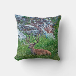 Bedded Buck Kudde