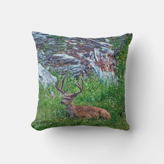 Bedded Buck Kudde (Framsida)