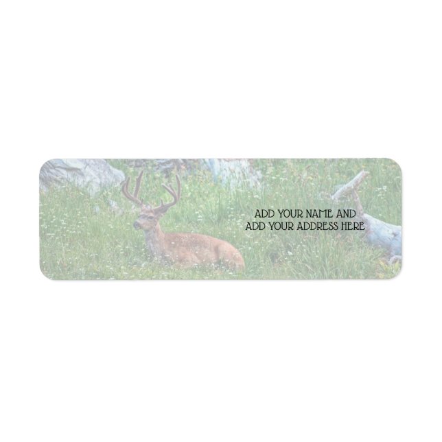 Bedded Buck Returadress Etikett (Framsidan)