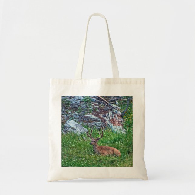 Bedded Buck Tygkasse (Framsidan)