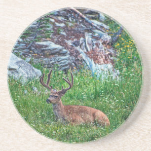 Bedded Buck Underlägg