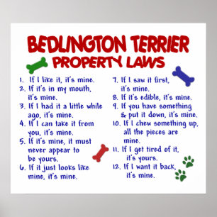 BEDDLINGTON-TERRIER PL2 POSTER