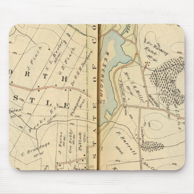 Bedford, New York 5 Musmatta (Framsidan)