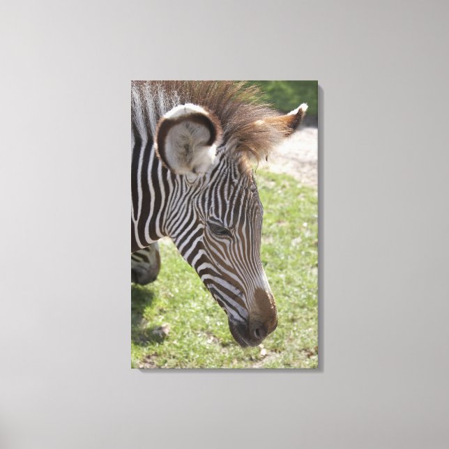 Bedfordshire, England Canvastryck (Framsida)