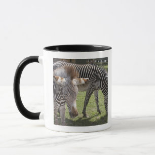 Bedfordshire England Mugg