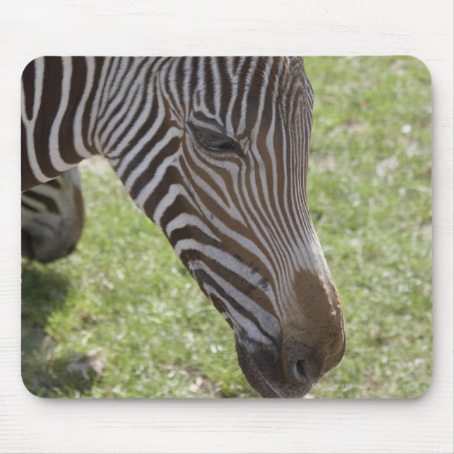 Bedfordshire, England Musmatta (Framsidan)