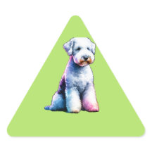 Bedington Terrier Hund