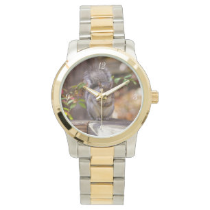 Bedjande ekorre armbandsur