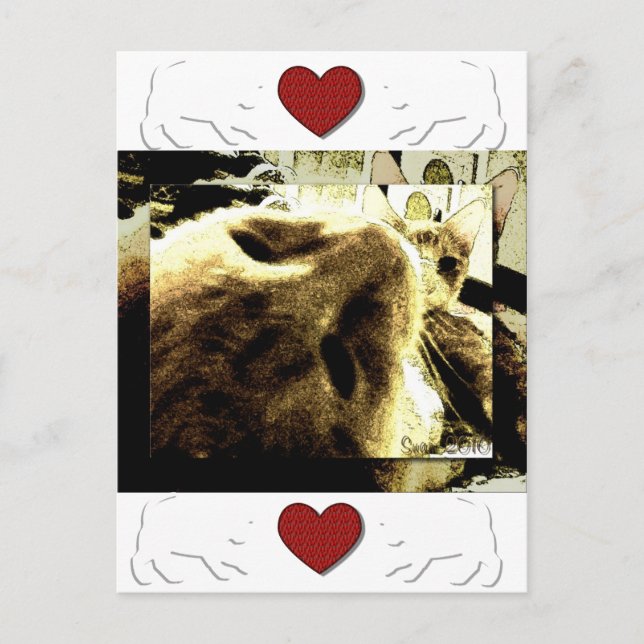 ’Bedkillows’ av Suan S'Katra Vykort (Framsida)