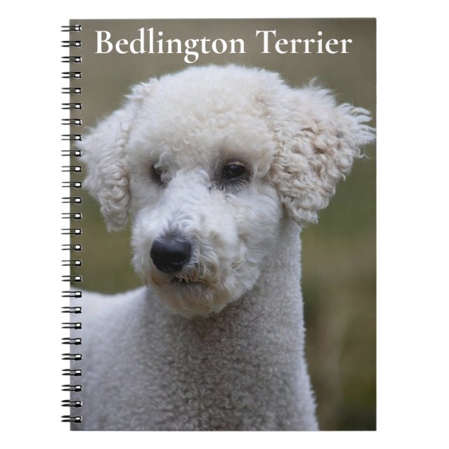 Bedlington Terrier anteckningsbok (Framsidan)