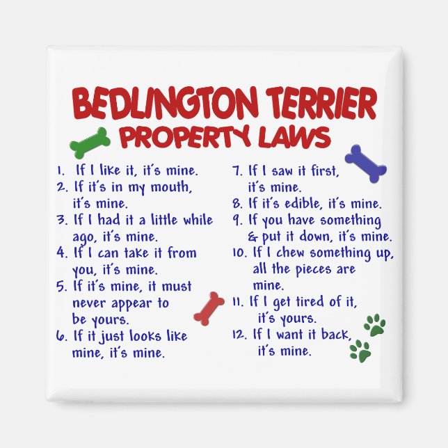 BEDLINGTON TERRIER Egendom LAGSTIFTNING 2 Magnet (Framsidan)