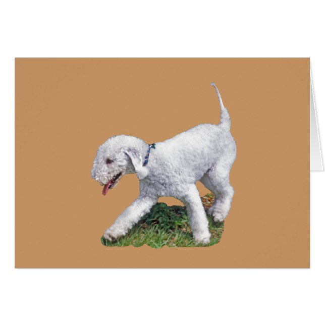 Bedlington Terrier Hälsningskort (Framsidan Horizontal)