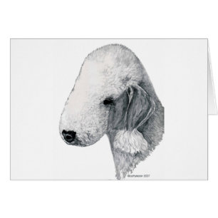 Bedlington Terrier Hälsningskort